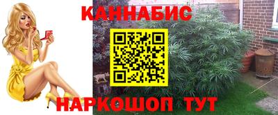 шишки Вязьма