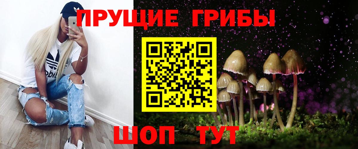 купить  цена  Вход с VPN  Керчь  Псилоцибиновые грибы Psilocybine cubensis 